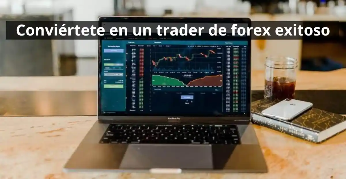 &raquo; Conviertete en un trader de forex