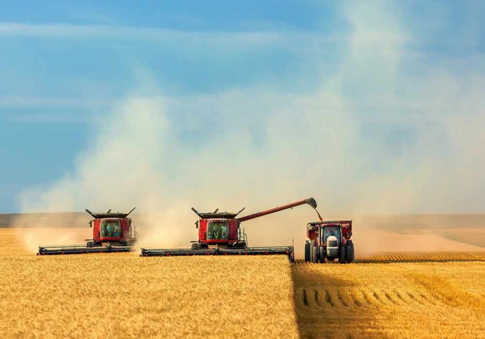 &raquo; Oportunidades Laborales en el Manejo de Maquinaria Agricola en Australia